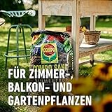 Compo Sana Qualitäts-Blumenerde, 5 L - 2