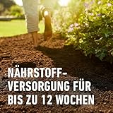 Compo Sana Qualitäts-Blumenerde, 5 L - 4