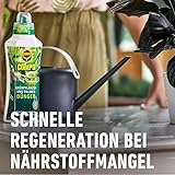 Compo Grünpflanzendünger 1 Liter - 4
