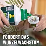 Compo Grünpflanzendünger 1 Liter - 5