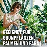 Compo Grünpflanzendünger 1 Liter - 6