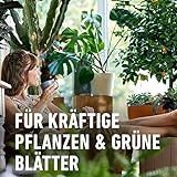 Compo Grünpflanzendünger 1 Liter - 7