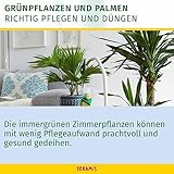 Seramis flüssige Vitalnahrung für Grünpflanzen 500 ml - 3