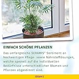 Seramis flüssige Vitalnahrung für Grünpflanzen 500 ml - 7