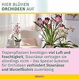 Seramis Spezial-Substrat für Orchideen 7 Liter - 3