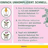 Seramis Spezial-Substrat für Orchideen 7 Liter - 4