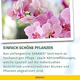 Seramis Spezial-Substrat für Orchideen 7 Liter - 7