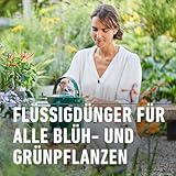 Compo Complete Pflanzendünger 1 l - 4