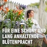 Compo Complete Pflanzendünger 1 l - 7