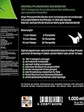 PFLANZWERK Pflanzendünger BIO-BOOSTER – 100% Biologisch – 100% Vegan – NK-Flüssigdünger 5l - 2