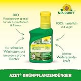 Neudorff Azet Grünpflanzendünger – 100% natürlicher Bio Dünger 250 ml - 2