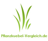 Pflanzkübel Vergleich
